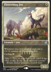 Flourishing Fox - Dark Frame Promo Pack